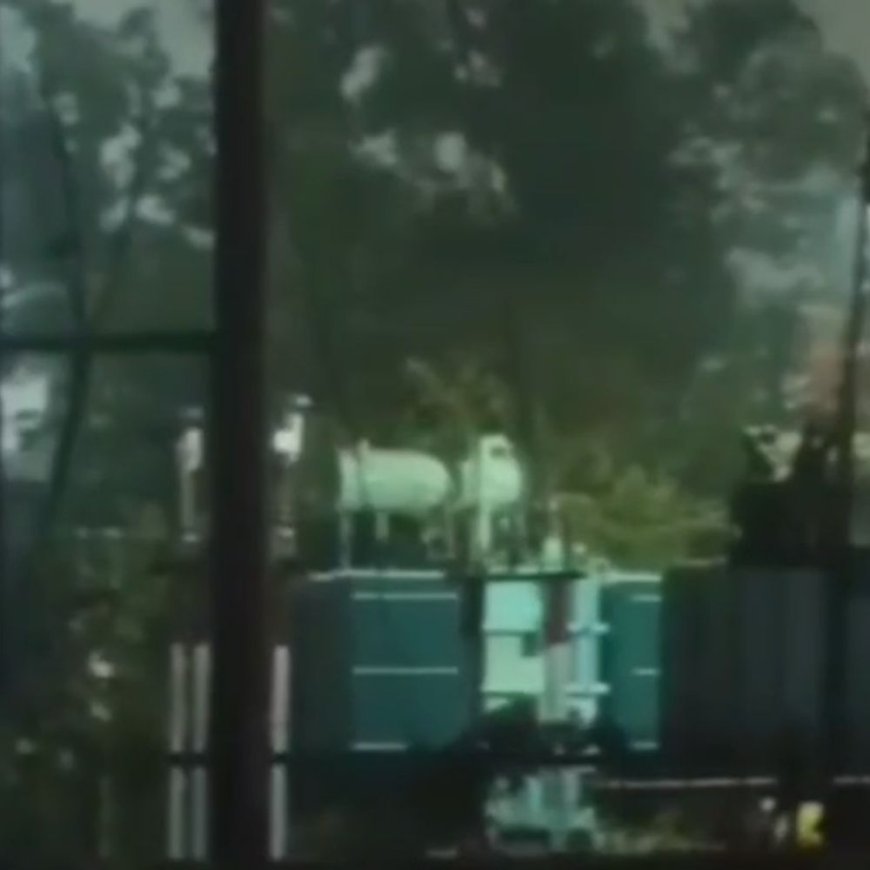 पुरवा उपकेंद्र से 10 दिन बिजली नहीं आएगी:रोज 5 घंटे बंद रहेगी सप्लाई, एक लाख से अधिक उपभोक्ता प्रभावित