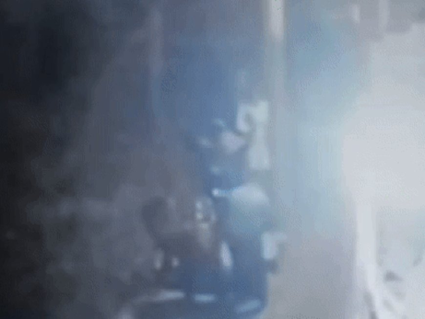 रोहतक में 2 भाइयों पर जानलेवा हमला, VIDEO:खेत में नहरी पानी देने गए थे; शराब पी रहे लोगों से झगड़ा, अधमरा किया