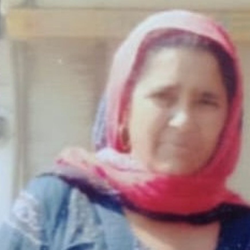 नारनौल में घायल महिला की इलाज के दौरान मौत:राजस्थान के झुंझुनूं जिला की रहने वाली, एनएच पर एक माह पहले हुआ था एक्सीडेंट