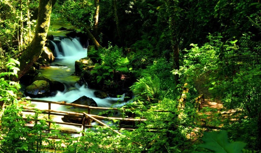 पर्यावरण: जान—माल के नुकसान की नेताओं को परवाह नहीं