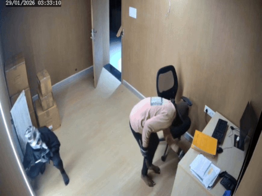 सवाई माधोपुर के कीया और हुंडई शोरूम में चोरी:CCTV फुटेज में चोरी की वारदात को अंजाम देते कैद हुए चोर