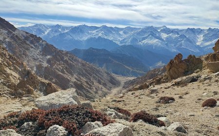 हिमालय क्षेत्र की बर्बादी से नेताओं को नहीं कोई सरोकार