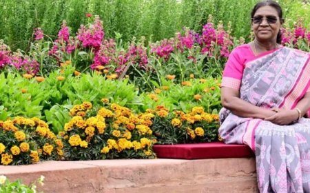 भास्कर अपडेट्स:3 फरवरी से आम लोगों के लिए खुलेगा राष्ट्रपति भवन का अमृत उद्यान, सुबह 10 बजे से होगी एंट्री