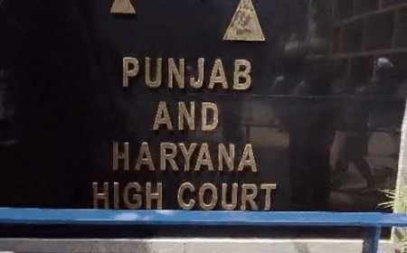 कैदियों की माफी-समय से पहले रिहाई पर हाईकोर्ट सख्त:हाईकोर्ट ने हरियाणा-पंजाब से मांगी रिपोर्ट; तुलनात्मक चार्ट बनाना होगा, दोनों अपना रहे अलग नीतियां