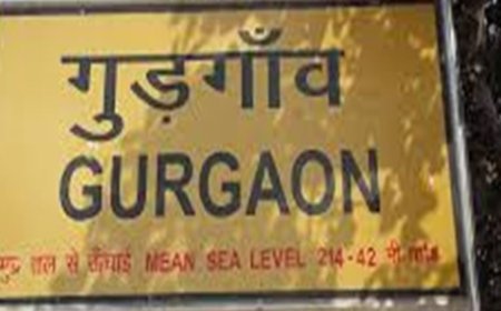 गुरुग्राम में मालगाड़ी के सामने आने से बुजुर्ग की मौत:रेलवे यार्ड के पास दो हिस्सों में मिली डेडबॉडी, पहचान करना भी मुश्किल
