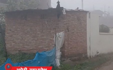 MP के 30 और UP के 15 जिलों में कोहरा:विजिबिलिटी 50m से कम; उत्तराखंड में पाला पड़ा, बद्रीनाथ में तापमान माइनस 20°