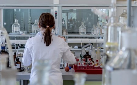 RSSB Lab Assistant Recruitment: 12वीं पास के लिए 804 पदों पर बंपर भर्ती, जल्द करें Apply