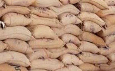 कैथल में गोदाम से हजारों रुपए की धान चोरी:बाइक पर आए चोर, शिकायत लेकर थाने पहुंचे गोदाम मालिक