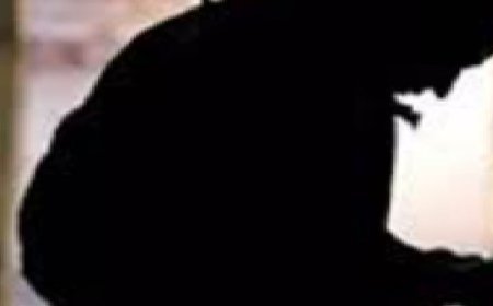 बेटी की शादी के लिए जयपुर आए,गहनों का बैग चोरी:रिसोर्ट के अंदर पहुंच गए बदमाश, कुर्सी पर रखते ही उठा ले गए बैग