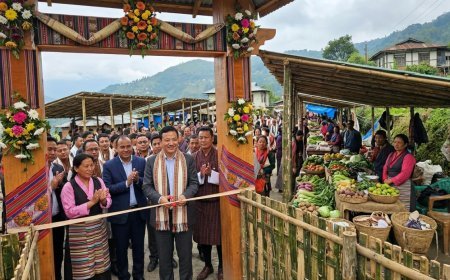 Sikkim की नई पहल: CM Tamang ने Gangtok में खोला किसानों का अपना Organic Market, बिचौलियों की होगी छुट्टी।