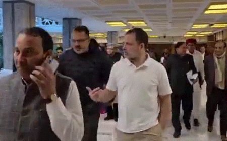 राहुल गांधी का वित्त मंत्री सीतारमण को लेटर:लिखा- एक्स-सर्विसमेन कंट्रीब्यूटरी हेल्थ स्कीम के लिए पर्याप्त बजट दें, दिव्यांगता पेंशन से इनकम टैक्स हटाएं