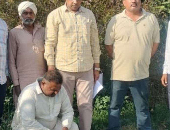 फतेहाबाद में प्याज के खेत से अफीम के पौधे:घर के पीछे फसल के बीच लगाए; सीआईए स्टाफ ने मकान मालिक अरेस्ट किया