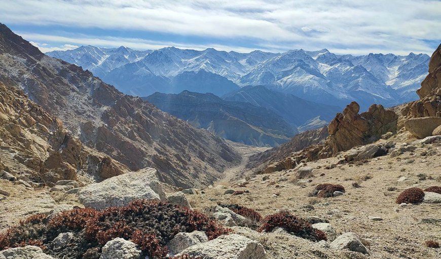 हिमालय क्षेत्र की बर्बादी से नेताओं को नहीं कोई सरोकार