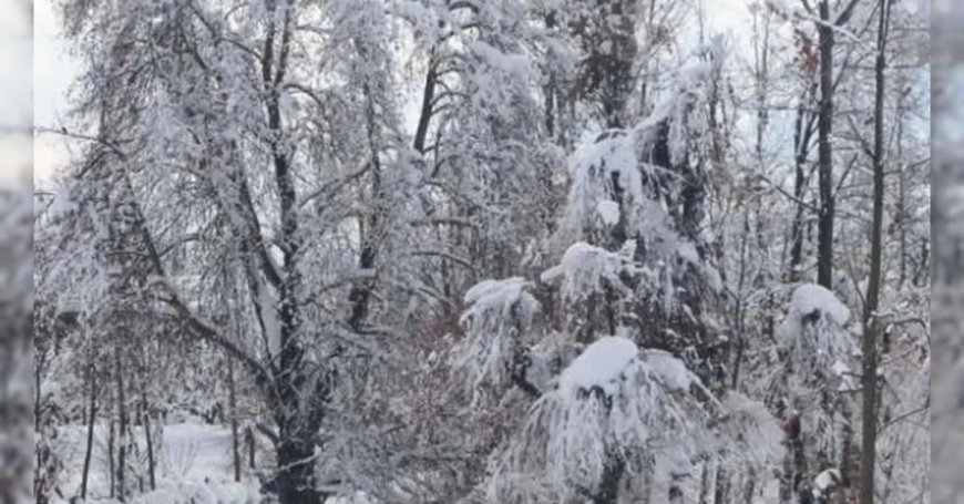 उत्तर भारत में बारिश और बर्फबारी की मार, जानिए द्रास से कारगिल और गुलमर्ग तक कैसा है मौसम?