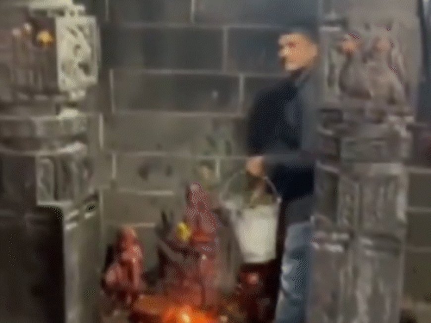 महाराष्ट्र में मुस्लिम विधायक शिवरात्रि पर मंदिर पहुंचे:दावा- उनके जाने के बाद शिव मंदिर में गोमूत्र छिड़ककर शुद्धिकरण किया गया, VIDEO