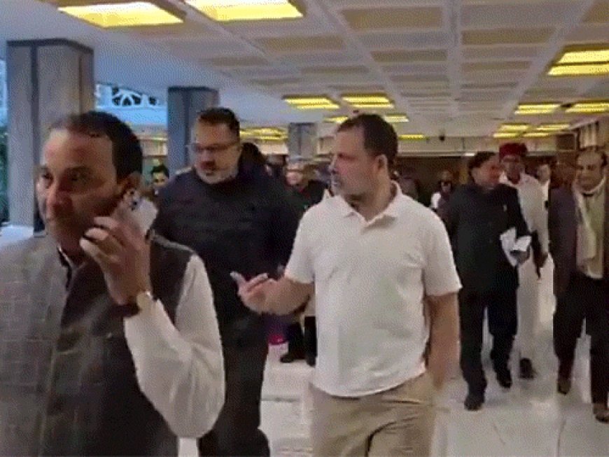 राहुल गांधी का वित्त मंत्री सीतारमण को लेटर:लिखा- एक्स-सर्विसमेन कंट्रीब्यूटरी हेल्थ स्कीम के लिए पर्याप्त बजट दें, दिव्यांगता पेंशन से इनकम टैक्स हटाएं