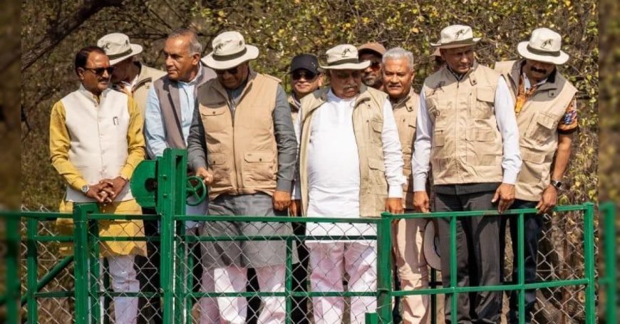 कूनो में बढ़ा चीतों का कुनबा, बोत्स्वाना से लाए गए 9 चीतों को क्वारेंटाइन बाड़े में छोड़ा गया