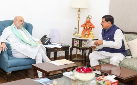 CM मोहन यादव ने गृहमंत्री शाह से की मुलाकात, बोले- किसानों को बनाएंगे आत्मनिर्भर