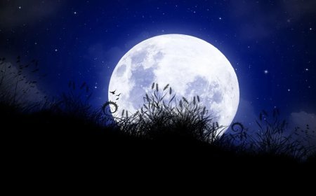 Falgun Purnima 2026 Date: 2026 में फाल्गुन पूर्णिमा की सही Date क्या? ज्योतिषी से जानें Lunar Eclipse में व्रत रखने के सटीक नियम