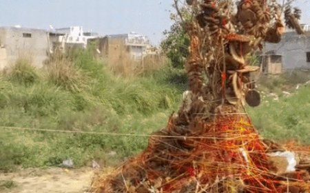 रोहतक में धूमधाम से मनाया होली का त्योहार:पूजन कर महिलाओं ने मांगी सुख-शांति की मन्नत, पूल हाउस में नाचे युवा