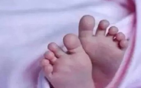 मोहाली में बच्चा तस्करी आरोपियों की जमानत याचिका खारिज:3.60 लाख रुपए में बच्ची बेचने का आरोप, कोर्ट ने कहा- आरोपी फरार हो सकते हैं