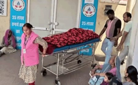 भीलवाड़ा में बीमारी से परेशान महिला ने लगाई फांसी:बेटा बुलाने कमरे में गया तो मां को फंदे से लटका देखा,मची चीख पुकार-बीमारी के चलते तनाव में दी जान