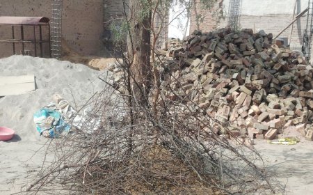 चूरू में होलिका दहन मध्यरात्रि 1.52 से 2.35 बजे तक:शुभ मुहूर्त और धार्मिक मान्यताओं के अनुसार मनेगी होली