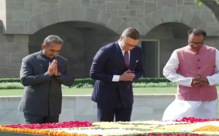 Rajghat पर गांधी को नमन, President Alexander Stubb के दौरे से भारत-Finland संबंधों को मिलेगी नई ऊर्जा