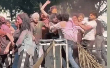 चंडीगढ़ में पंजाब यूनिवर्सिटी गेट के सामने चले लात-घूंसे:कपड़े तक फाड़े, 22 मिनट का वीडियो वायरल, लड़की आई झगड़ा छुड़वाने