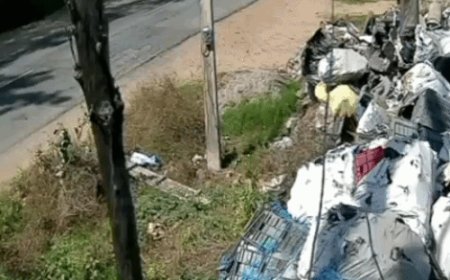 अलवर में तेज रफ्तार टैंपो पलटा,उछलकर दूर गिरे लोग-VIDEO:एक बच्चे को CPR देकर बचाया गया; 10 लोग घायल हुए, 2 को जयपुर भेजा गया