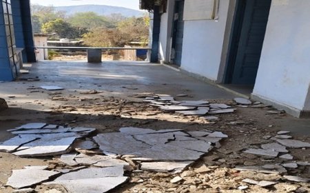 ​तहसील कार्यालय में भरभराकर गिरा छत का प्लास्टर:रात को गिरने से जनहानि टली, दिन में रहती है स्टाफ और आजमन की आवाजाही