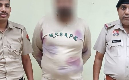 झज्जर मोटरसाइकिल चोरी का खुलासा, एक आरोपी गिरफ्तार:चोरी की बाइक बरामद; पहले भी दर्ज हैं केस