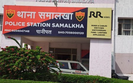 पानीपत के खाली प्लॉट में मिला 4 माह का भ्रूण:पेड़ के नीचे फेंका हुआ था; पुलिस ने कब्जे में लेकर जांच के लिए भेजा