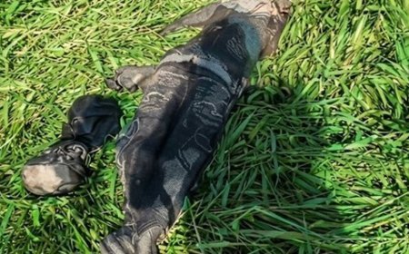 रोहतक में सिर कटी लाश मिली:खोपड़ी की खाल उखाड़ी, आंख भी गायब मिली; आधी कमर पर कट के निशान