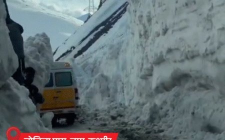 राजस्थान में आज से बारिश, ओले गिरेंगे:UP- बिहार में भी अलर्ट; हिमाचल में बर्फबारी की संभावना, कश्मीर में एवलांच से 7 की मौत