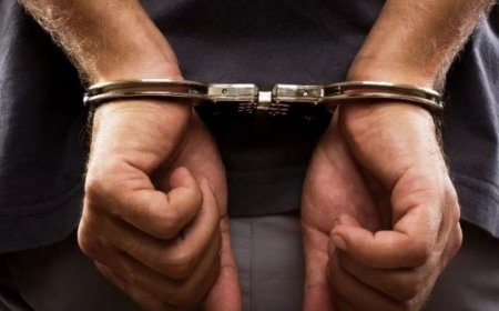 भास्कर अपडेट्स:दिल्ली के बावना हत्याकांड मामले में टिल्लू गैंग के 3 शूटर गिरफ्तार, दो सेमी-ऑटोमैटिक पिस्टल बरामद