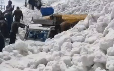 श्रीनगर-लेह हाईवे पर एवलांच, 7 की मौत:12 से ज्यादा वाहन 6 फीट बर्फ में दबे, जोजिला दर्रे के पास हादसा