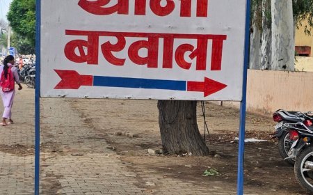 हिसार पुलिस ने नाबालिग से रेप के आरोपी को पकड़ा:कोर्ट ने न्यायिक हिरासत में भेजा, दिल्ली के नांगलोई से गिरफ्तार