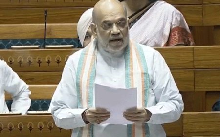 शाह बोले- जो हथियार उठाएगा, उसे कीमत चुकानी होगी:वामपंथियों ने आदिवासियों को बहकाया; गरीबी ने नक्सलवाद नहीं, नक्सलवाद ने गरीबी फैलाई