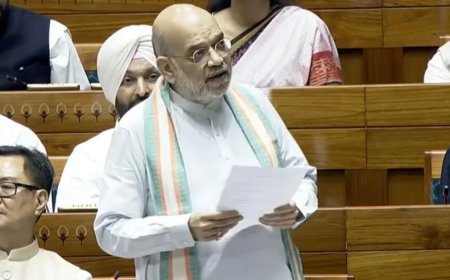 Naxal Free India : लोकसभा में गृह मंत्री अमित शाह का दावा- भारत से नक्सलवाद खत्म