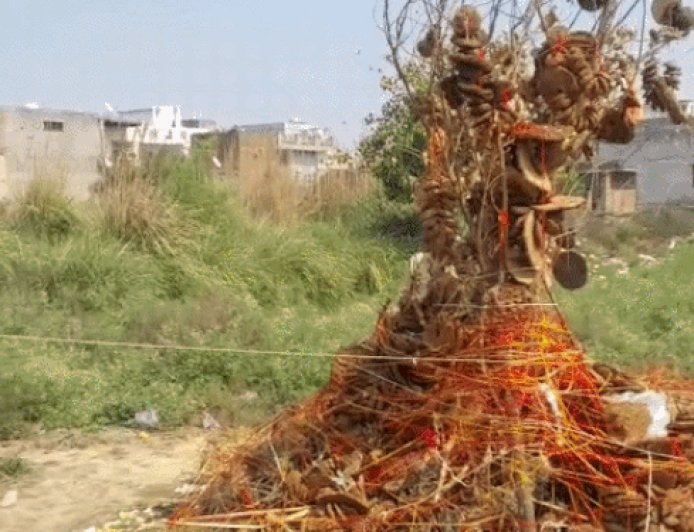 रोहतक में धूमधाम से मनाया होली का त्योहार:पूजन कर महिलाओं ने मांगी सुख-शांति की मन्नत, पूल हाउस में नाचे युवा