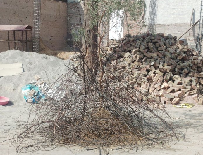 चूरू में होलिका दहन मध्यरात्रि 1.52 से 2.35 बजे तक:शुभ मुहूर्त और धार्मिक मान्यताओं के अनुसार मनेगी होली