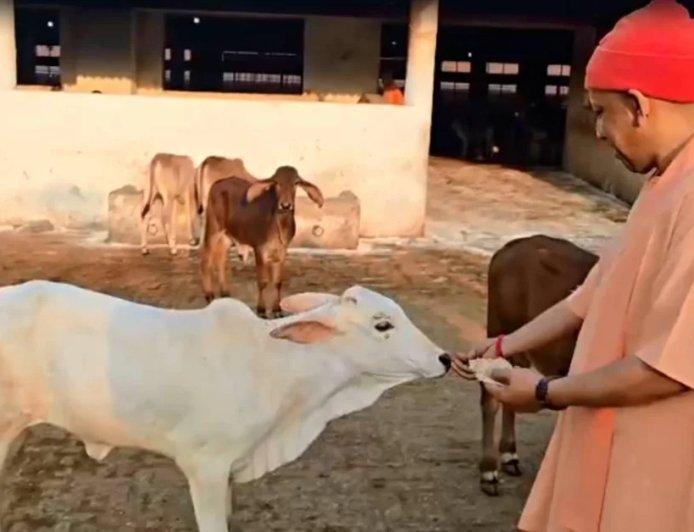 योगी सरकार का कीर्तिमान, पहली बार गो संरक्षण के लिए खर्च होंगे 2100 करोड़
