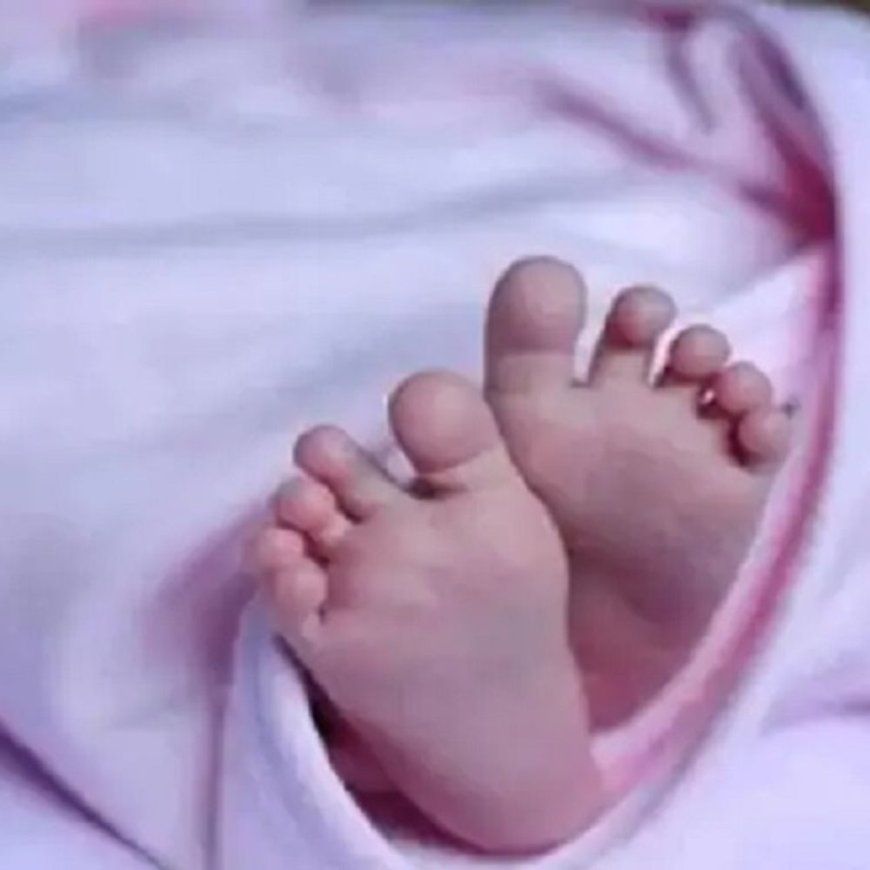 मोहाली में बच्चा तस्करी आरोपियों की जमानत याचिका खारिज:3.60 लाख रुपए में बच्ची बेचने का आरोप, कोर्ट ने कहा- आरोपी फरार हो सकते हैं