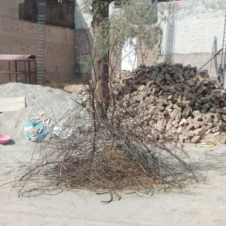 चूरू में होलिका दहन मध्यरात्रि 1.52 से 2.35 बजे तक:शुभ मुहूर्त और धार्मिक मान्यताओं के अनुसार मनेगी होली