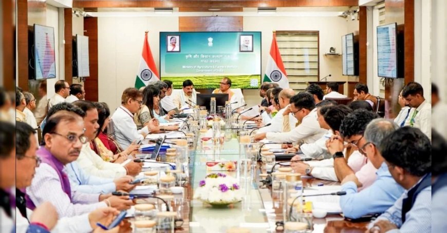 MP के किसानों की हुई बल्ले-बल्ले! CM मोहन यादव के प्रयासों से केंद्र ने 'भावांतर' पर लगाई मुहर