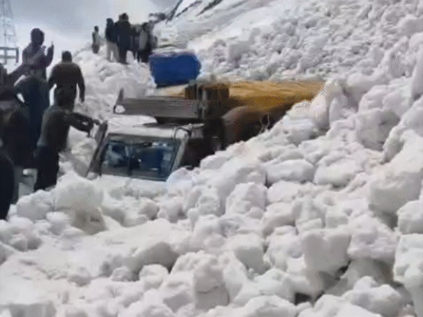 श्रीनगर-लेह हाईवे पर एवलांच, 7 की मौत:12 से ज्यादा वाहन 6 फीट बर्फ में दबे, जोजिला दर्रे के पास हादसा