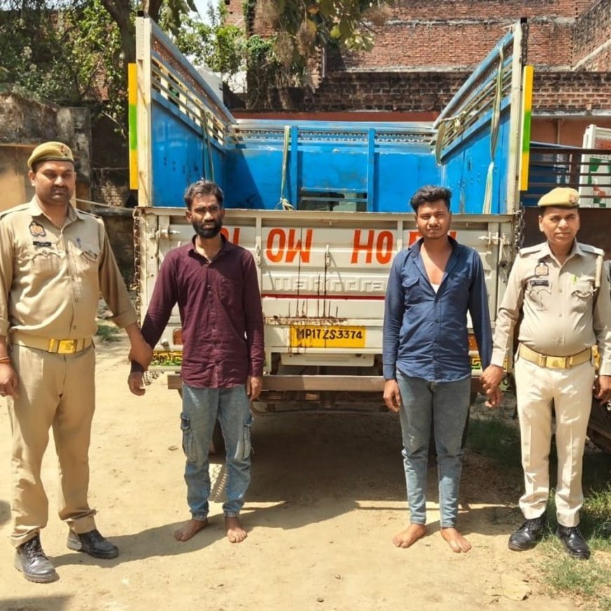 चंदौली में 19 गोवंश बरामद, दो तस्कर गिरफ्तार:पश्चिम बंगाल ले जा रहे थे पशु, एक चालक फरार