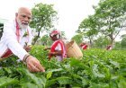 पीएम मोदी ने असम के चाय बगान में पत्ती तोड़ी:महिला कामगारों के साथ सेल्फी ली; केरलम में राहुल ने बस में सफर किया...11 PHOTOS