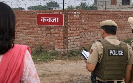 यमुनानगर में महाराष्ट्र की महिला के प्लॉट पर कब्जा:फर्जी दस्तावेज तैयार कर धोखाधड़ी; गैरमौजूदगी में चारदीवारी कराने का आरोप